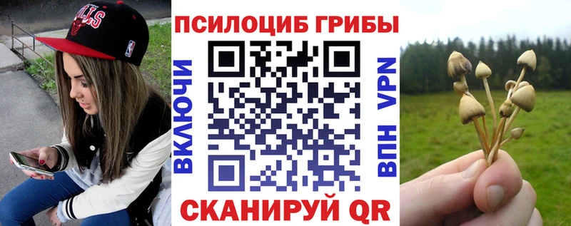 цены наркотик  Невельск  Псилоцибиновые грибы MAGIC MUSHROOMS 